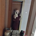 ���� ������, ������, 42 ���� - ��������� 16 ������� 2022 � ������ ���� ����������