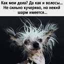 ���� ������, ���������, 56 ��� - ��������� 14 ������ 2023 � ������ ������ ��������
