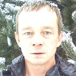 �������, �����-���������, 39 ���