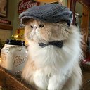 ���� ����, �����������, 53 ���� - ��������� 17 ������ 2023 � ������ ���� ����������