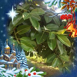 ���� A���, ������� �����, 55 ��� - ��������� 13 ������� 2022