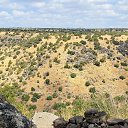 ���� Dima, �����, 61 ��� - ��������� 8 ������� 2022