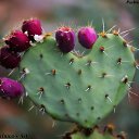  Ann Ann,  -  9  2022    