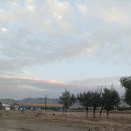 ���� ������ ����������, ������, 37 ��� - ��������� 26 ������� 2022