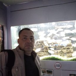 ���� �����, ����, 42 ���� - ��������� 11 ������� 2022