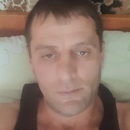 , , 43 