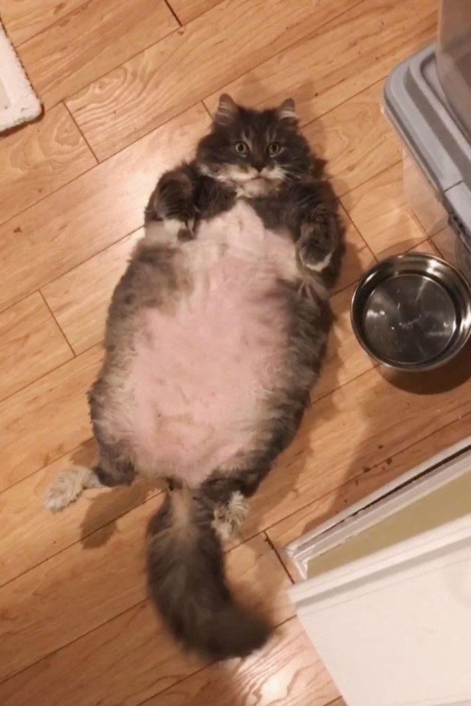  ,    !    , !