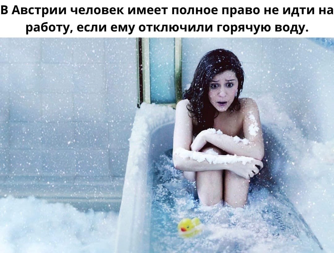       ,   .