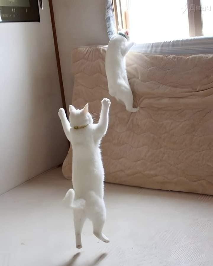    ,   )))    ))) - 4