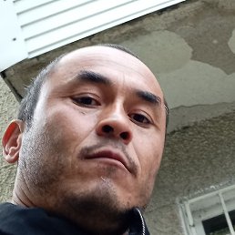 ��������, �������, 37 ���