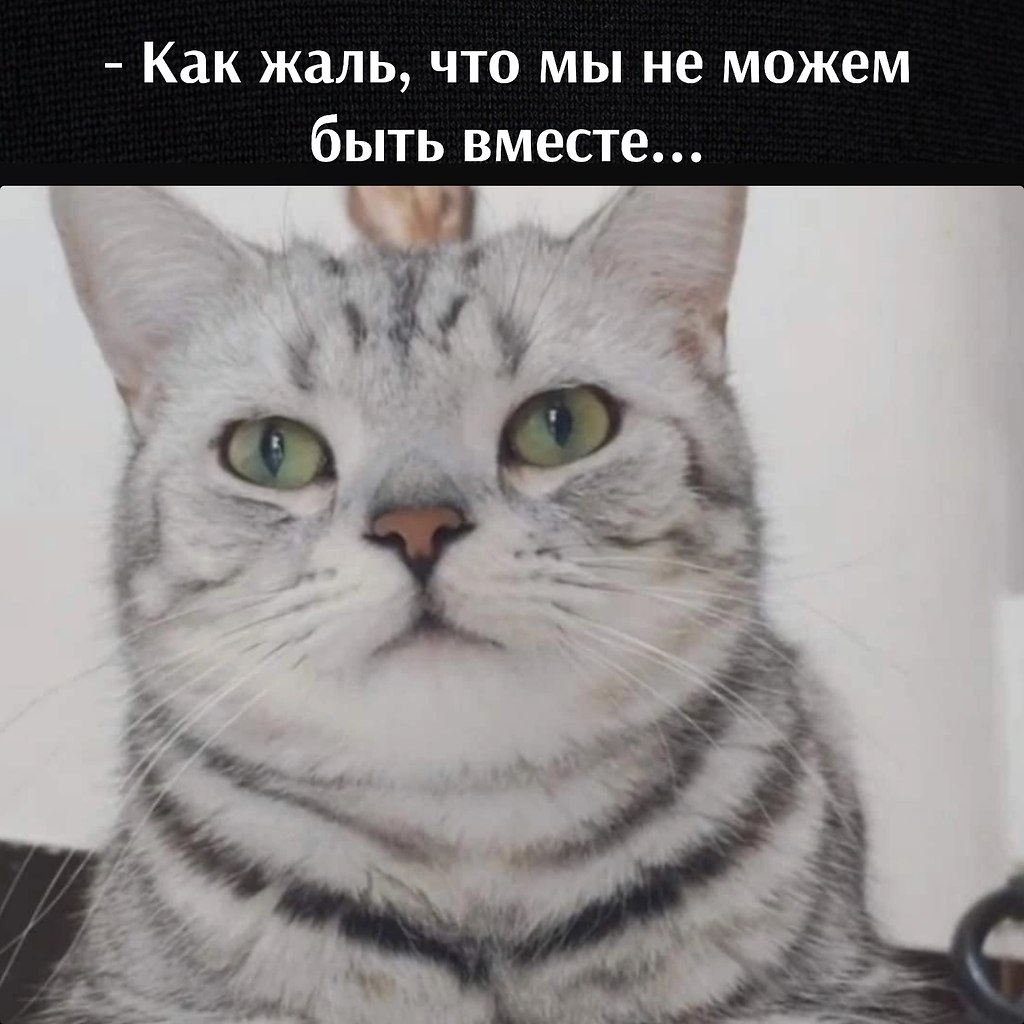       - 13  2023  16:49
