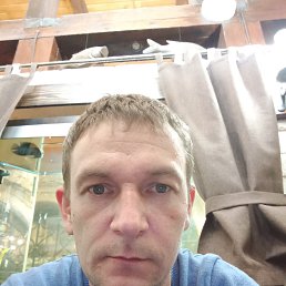 ���� ������, �����������, 38 ��� - ��������� 9 ������� 2022