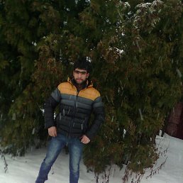 Babnik, , 31 