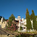 ���� ������, �����, 56 ��� - ��������� 17 �������� 2022 � ������ ���� ����������