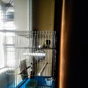 ���� �����, ������ ����� - ��������� 8 ������� 2022 � ������ ���� ����������