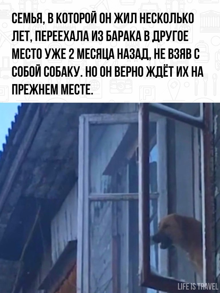    ,       . - 2