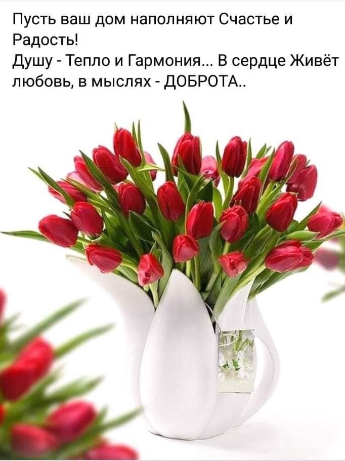  - 17  2022  07:16