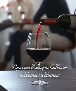  ! - 6  2023  07:54