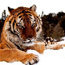 ���� ��, ������, 37 ��� - ��������� 25 ������� 2022 � ������ ���� ����������