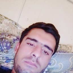 , 31 , 