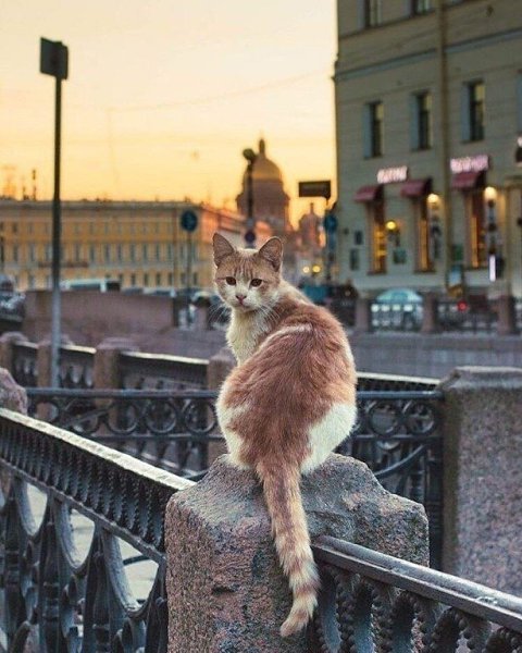    - 5  2022  20:21