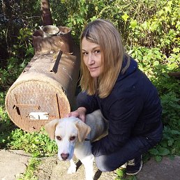 ���� ������, ����������, 50 ��� - ��������� 12 ������ 2022