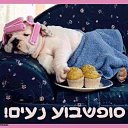  Prishelets Prishelets, , 61  -  2  2022    