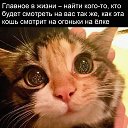  , , 63  -  13  2022   -