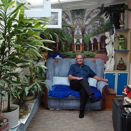 ��������, ����, 71 ���