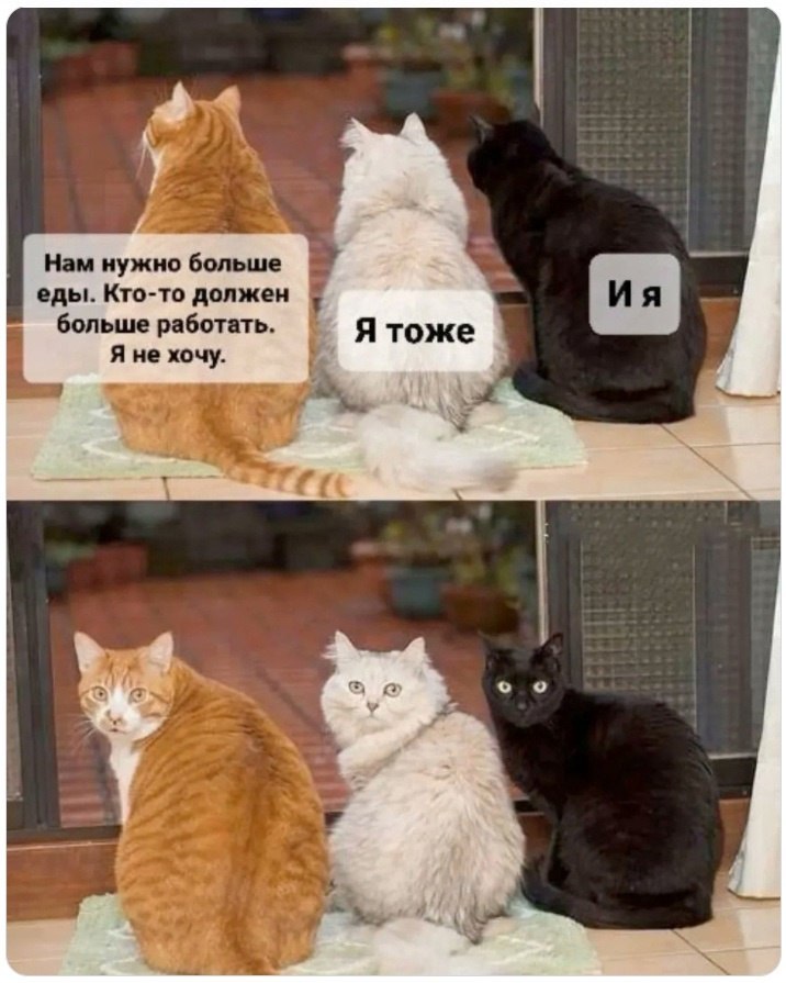  - 10  2022  16:25