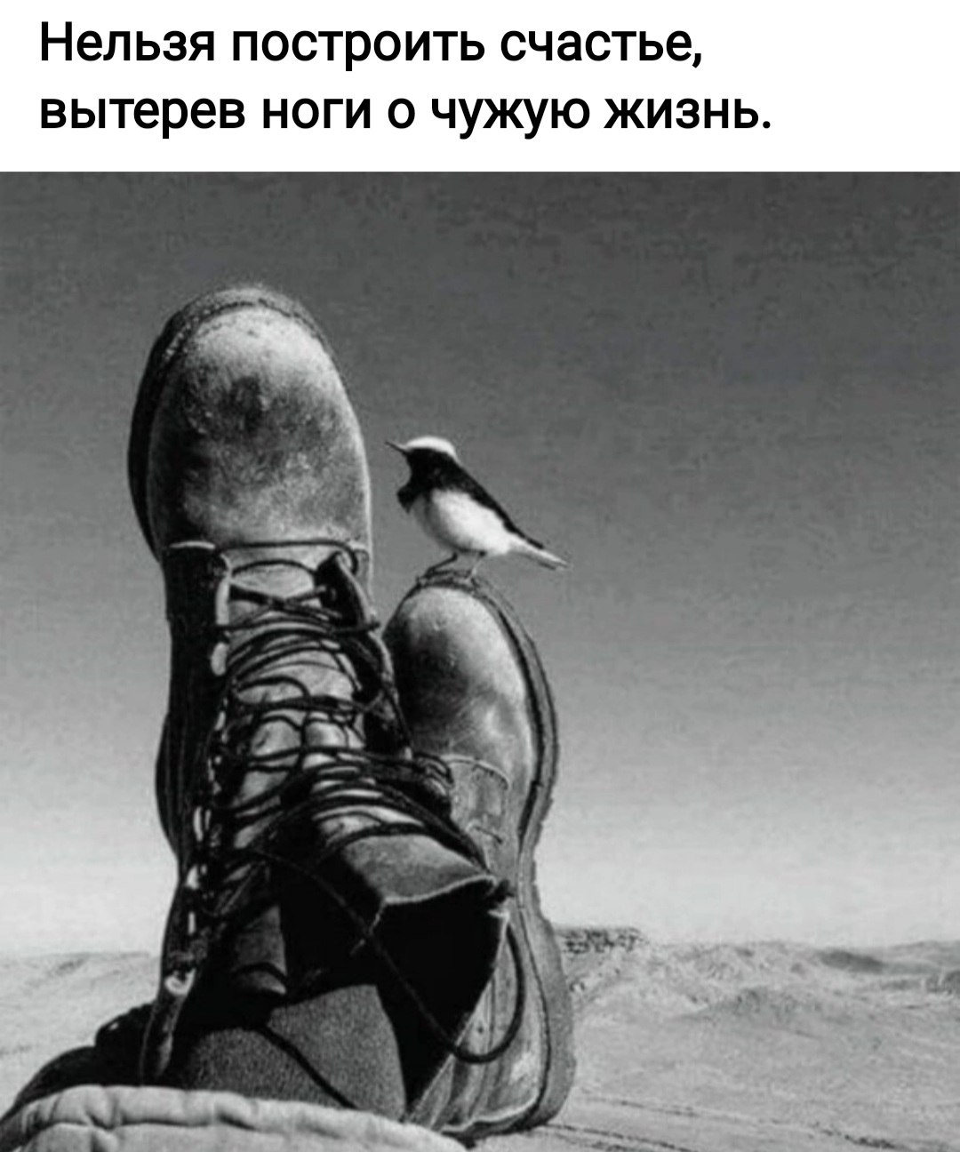 *T* - 18  2023  17:42