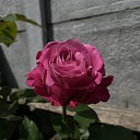 ���� �������, ������, 47 ��� - ��������� 10 ���� 2022 � ������ ���� ��� ���