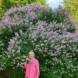 �������, ������, 48 ���