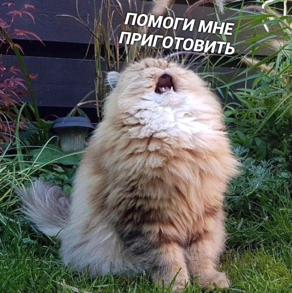  )