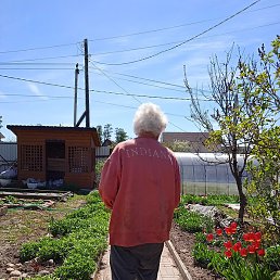 ������, �����, 79 ���