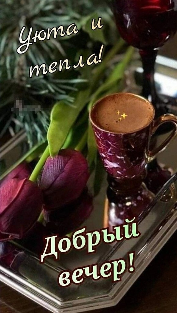   ,    . - 16  2022  19:44 - 3
