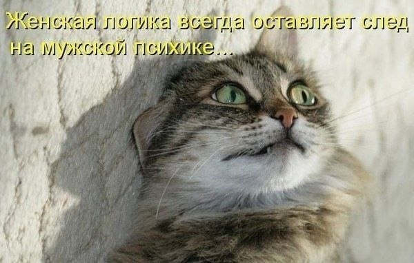    - 19  2022  12:21
