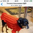 ���� �����, �����������, 50 ��� - ��������� 15 ������ 2022 � ������ ������ ��������