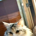 ���� �������, ������, 75 ��� - ��������� 7 ������ 2022 � ������ ���� ����������