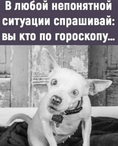   - 19  2022  02:59
