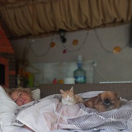 ����, ������-��-����, 60 ���