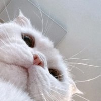   ?  ... - 3