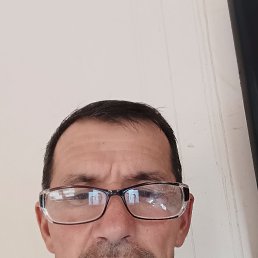 , 55, 