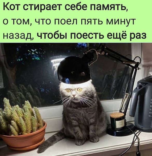   :D - 13  2022  09:15
