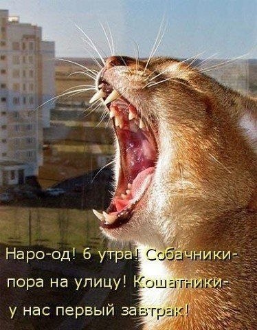    - 23  2022  11:41