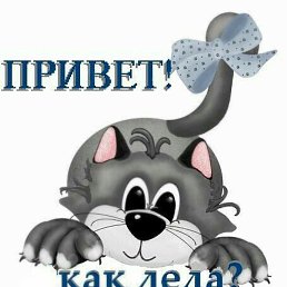 , , 41 