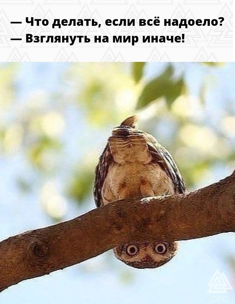  | ,  - 2  2022  07:06