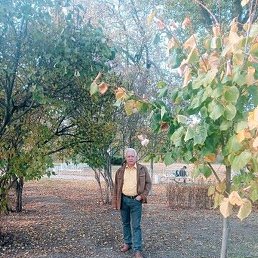 Фото Геннадий, Москва, 67 лет Геннадий, Москва, 67 лет