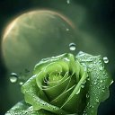 ���� Dina, �����������, 45 ��� - ��������� 9 ������ 2023 � ������ ���� ����������