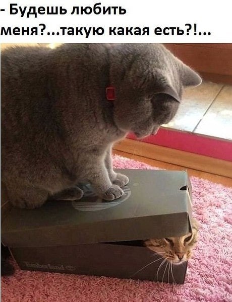 , ! , ,    !!?